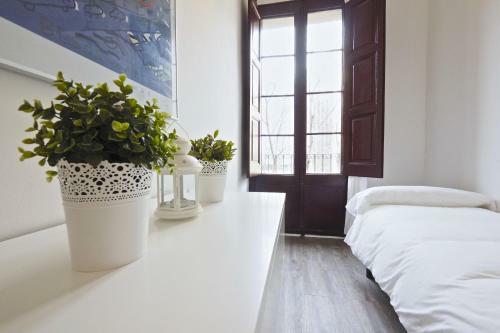 Apartamentos The White Flats Sant Antoni