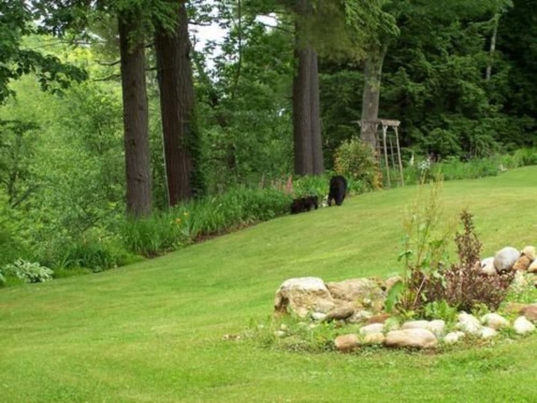 Bed & Breakfast Inn At Ellis River