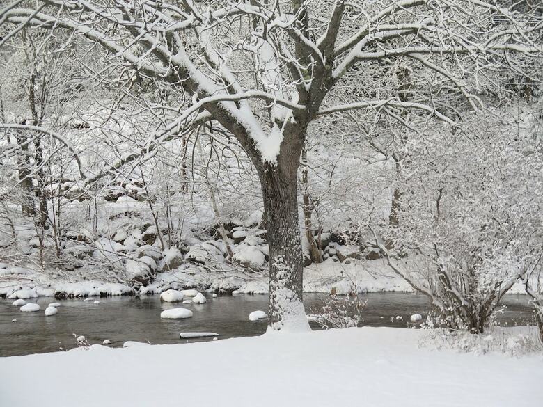 Bed & Breakfast Inn At Ellis River