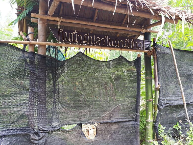 Hotel Baansongkhata