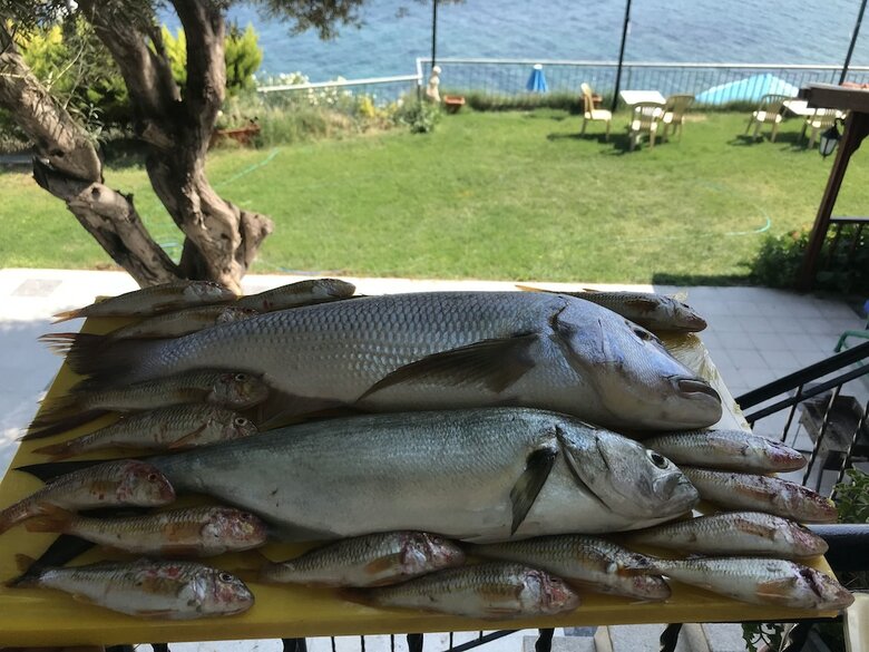 Tayfun Hotel