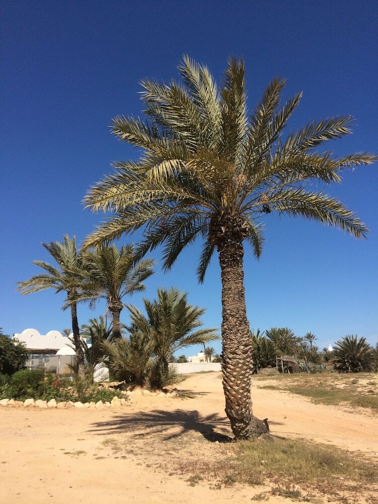 Hotel Dar Jasmin Djerba