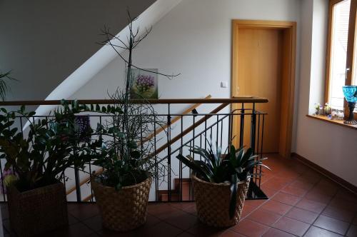 Hostal Gasthof Zur Post