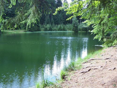 Villa Zum Erzgebirge