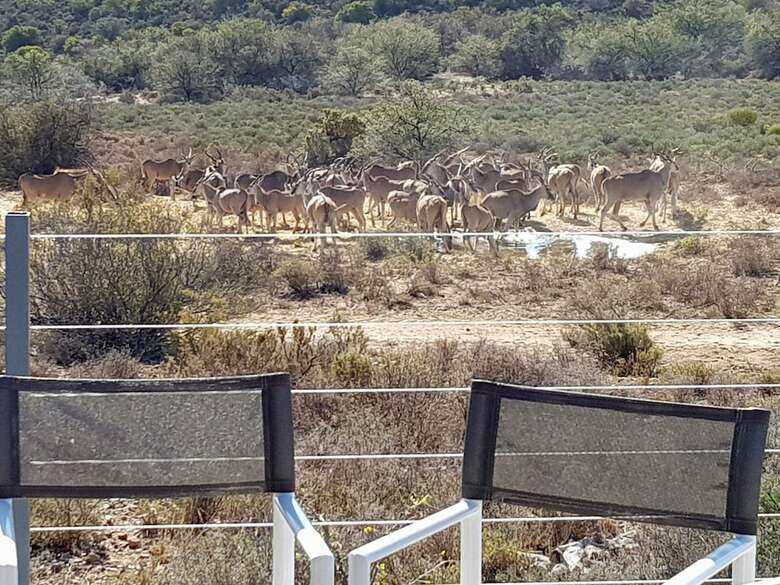Hotel Rooiberg Safaris