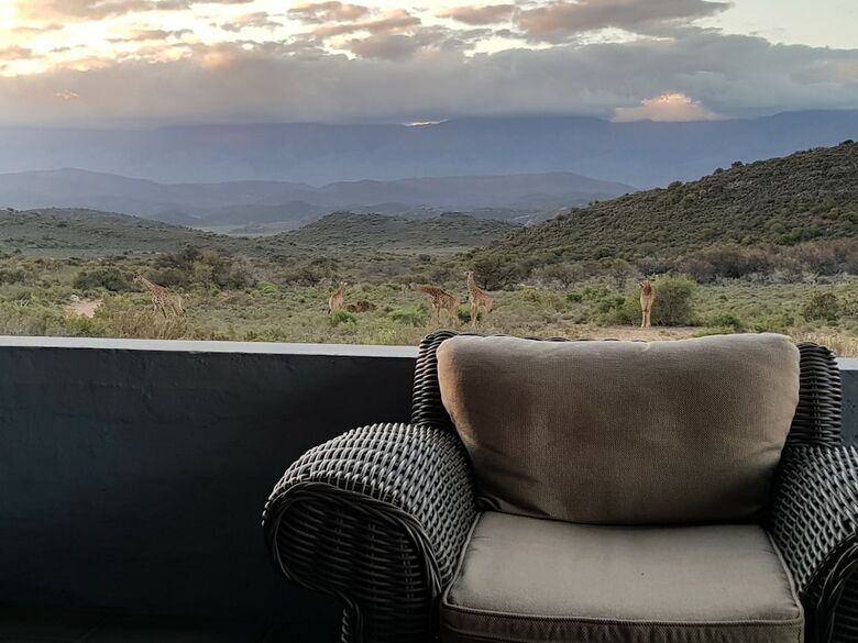Hotel Rooiberg Safaris