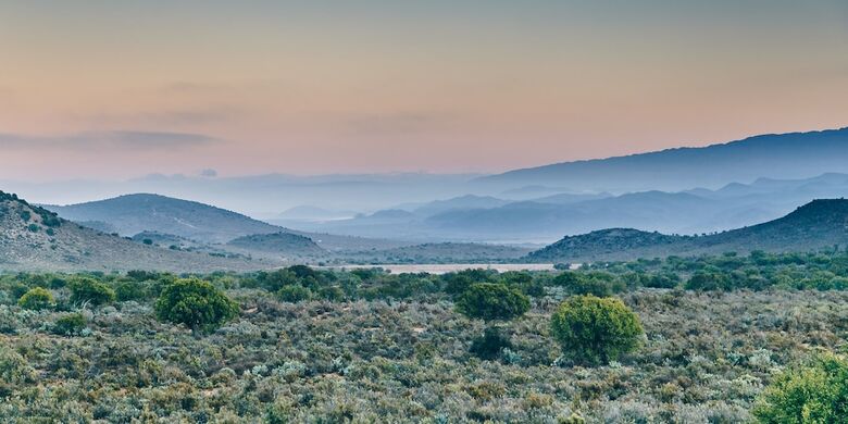 Hotel Rooiberg Safaris