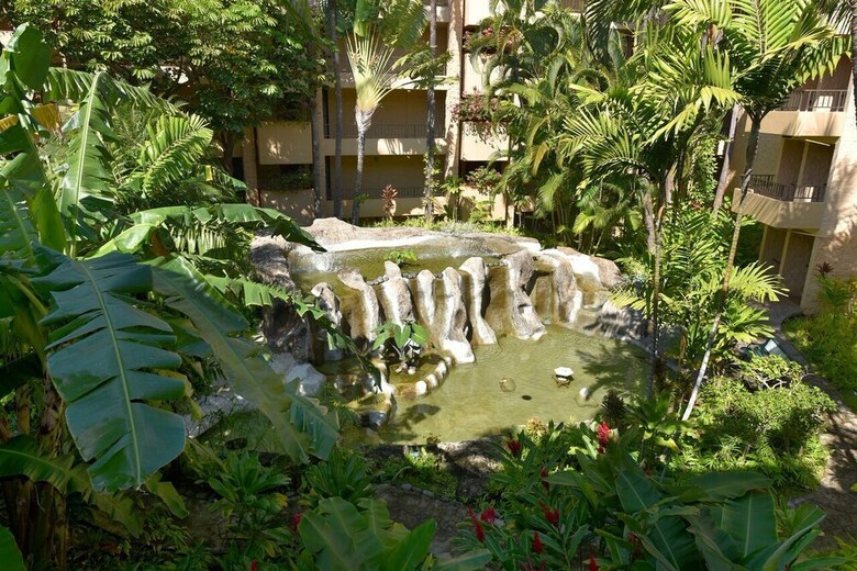 Paki Maui 316 By Redawning