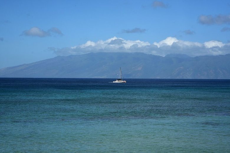 Kaleialoha 309 By Redawning