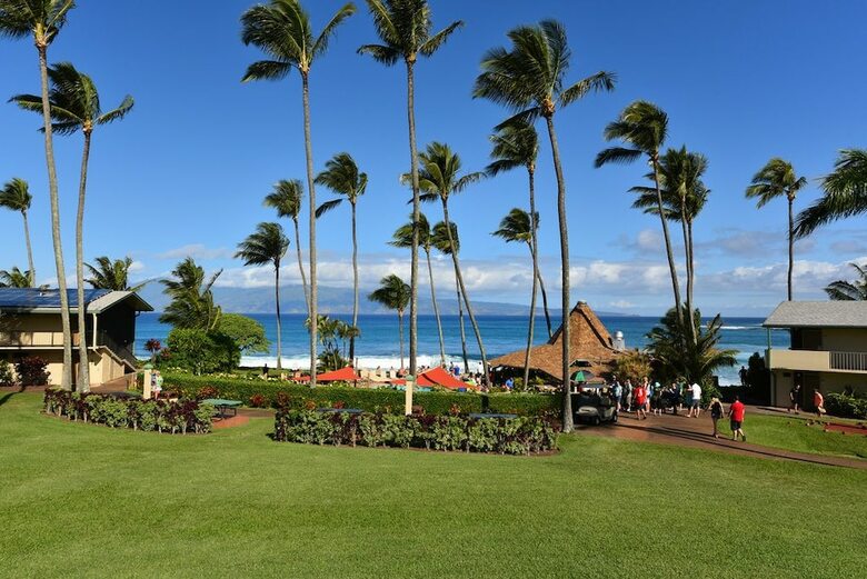 Napili Shores C116 By Redawning