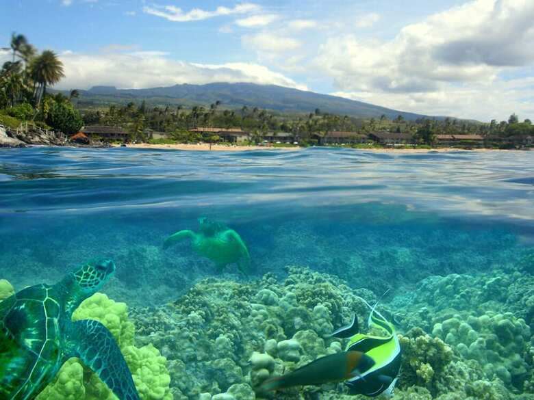 Kapalua Bay Villa 17b2 Gold Ocean View - 2 Br Villa