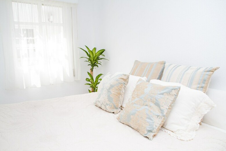 Spacious And Bright Apartment By La Recepci�n