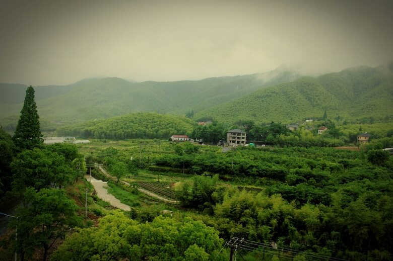 Hotel Moganshan Wild House