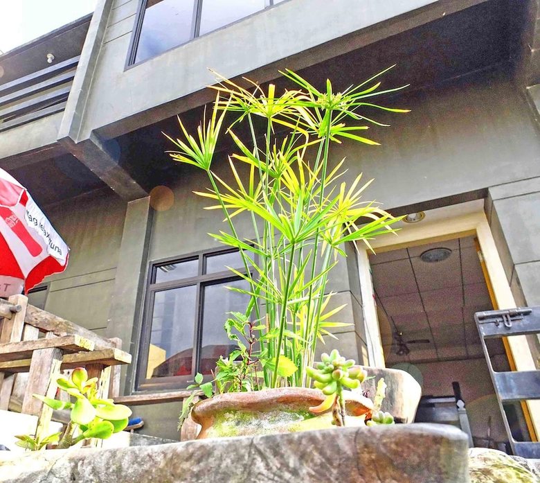 Apartamentos Baguio Traveller's House