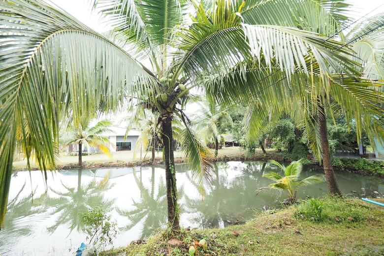 Hotel Sai Rung Resort