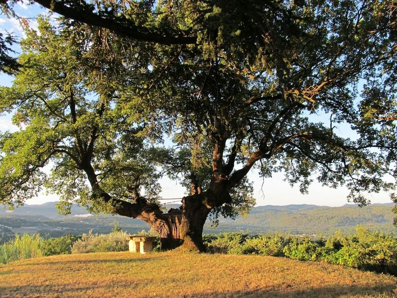 Agroturismo La Chesnaie