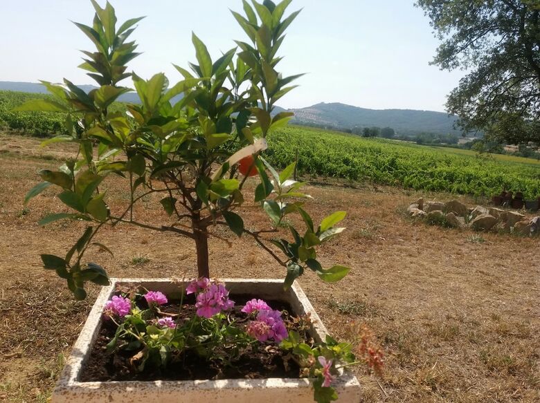 Apartamento La Sosta Di Braccio