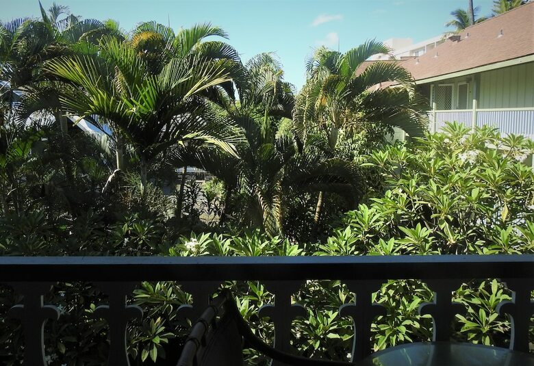 Tropicals Of Palm Beach
