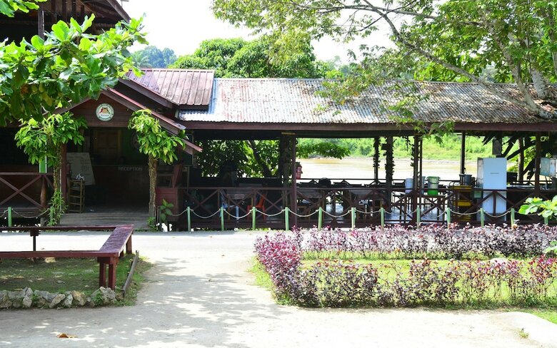 Sukau Greenview Bed & Breakfast - Hostel