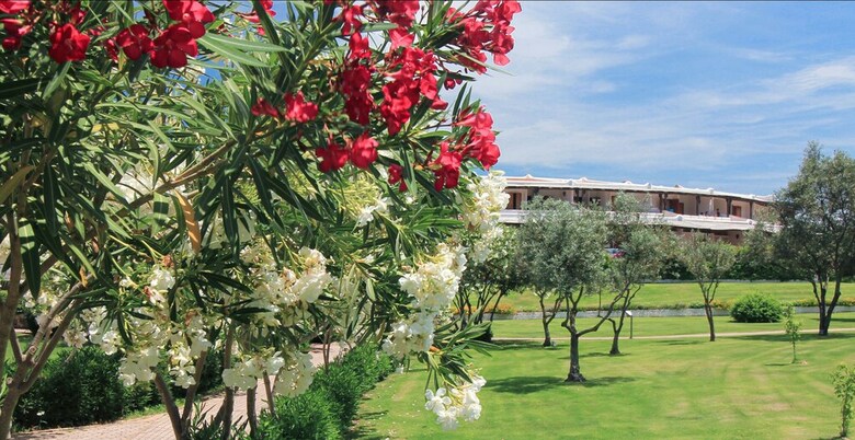 Apartamento Capo Ceraso Family Residence