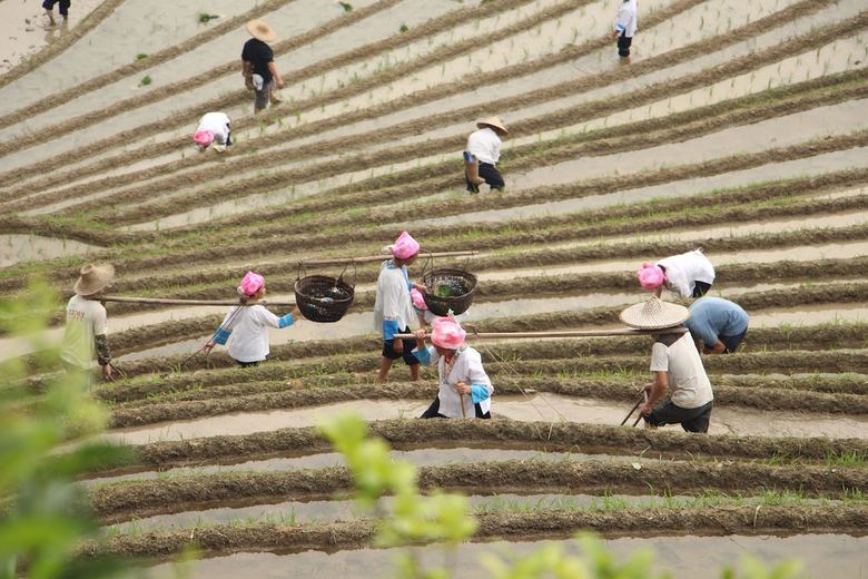 Posada Travelling With Hotel Long Ji Ping An