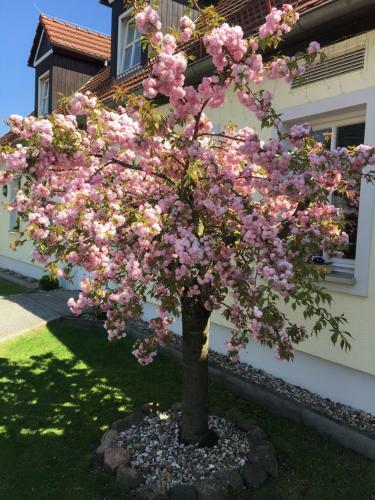 Hotel Prinz Albrecht