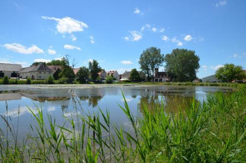 Hostal Landhotel Seerose