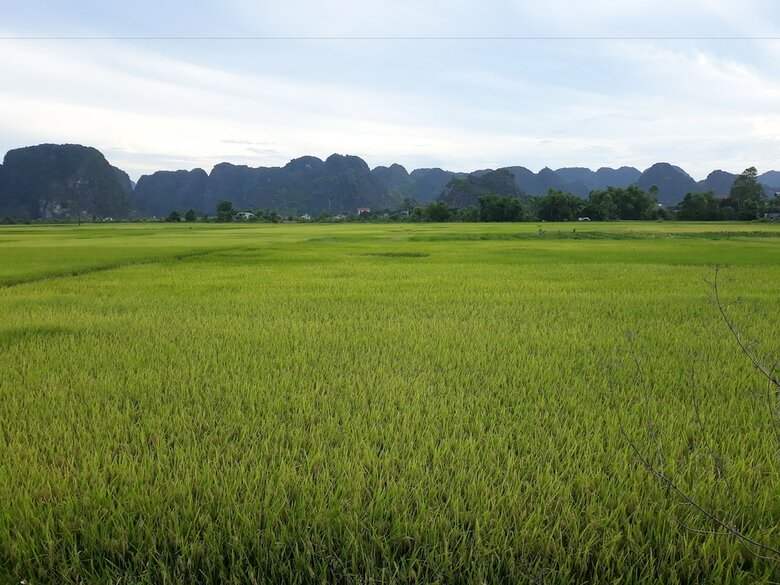 Hotel An Phu Homestay