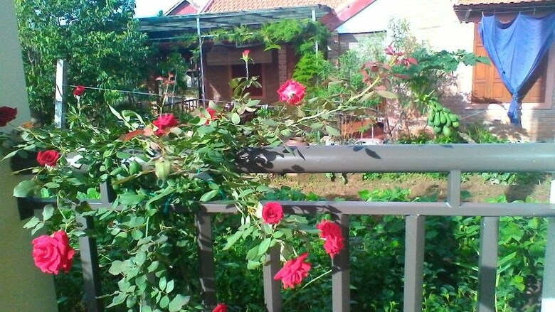 Hotel An Phu Homestay