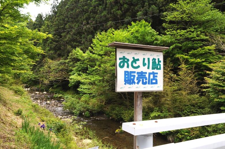 Hotel Nature Resort In Shimanto