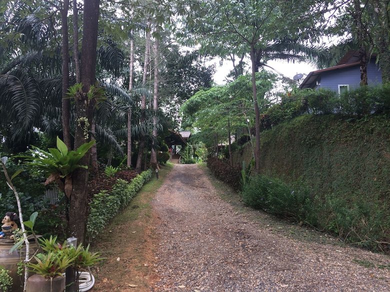 Hotel Thipthara Adventure Camp