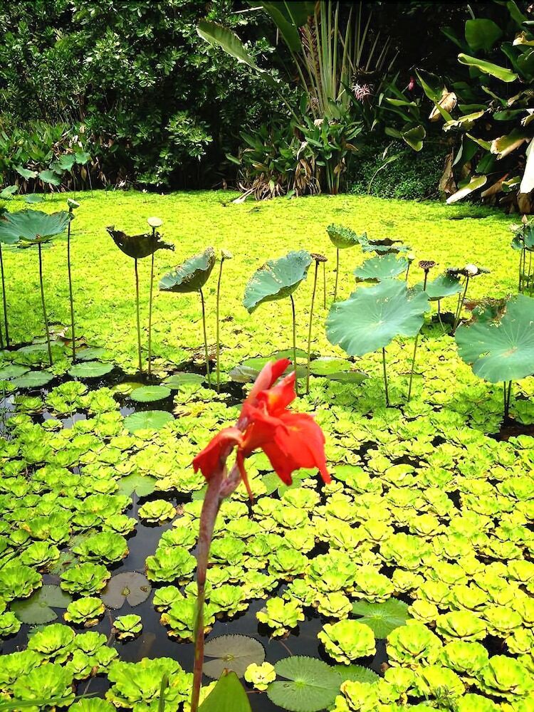 Hotel Baan Huay Namrin