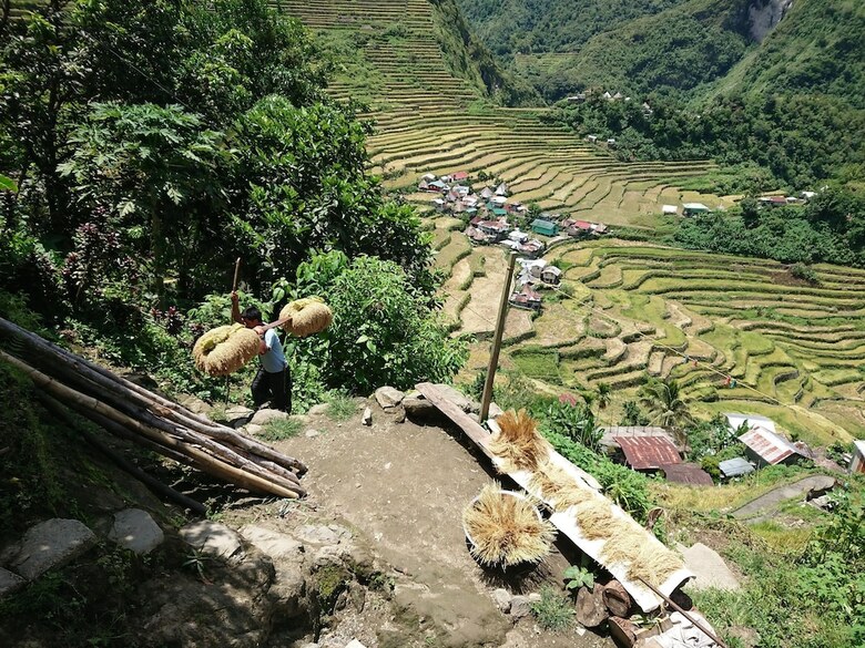 Hotel Batad Transient House