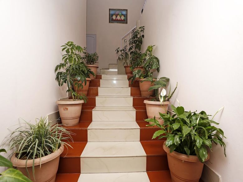 Hotel Oyo 4740 White Orchid
