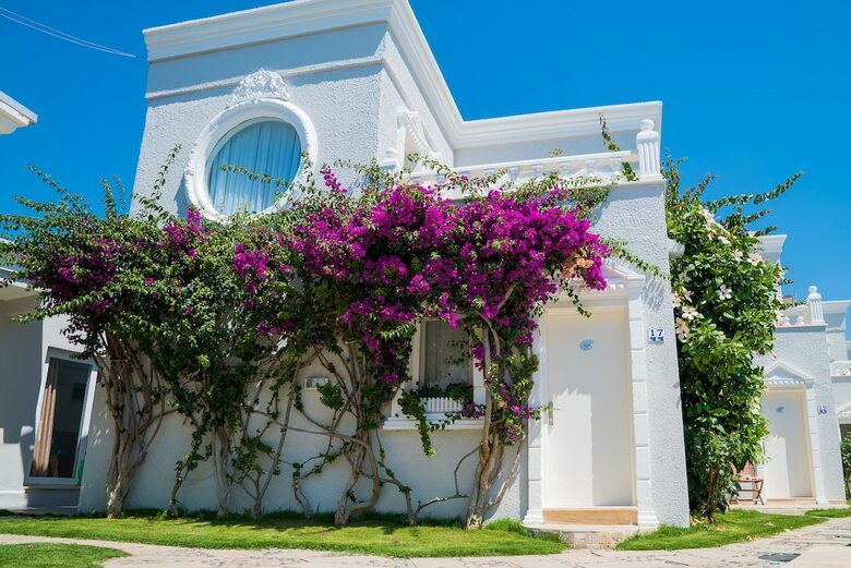 Art Suites Hotel Bodrum