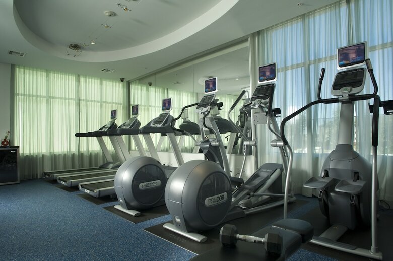 Hotel Holiday Inn Dfw South