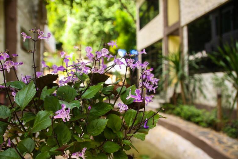 Hotel Rao Ga Khao Resort