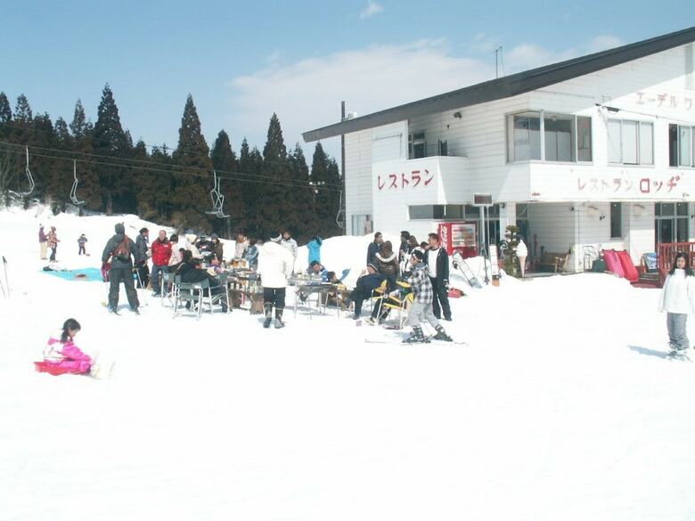 Hotel Edelweiss Akakura