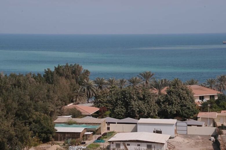 Aparthotel Magic Suite Abu Halifa