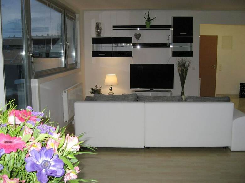 Panorama Apartment Vienna