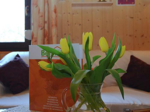 Ferienhaus Heidi
