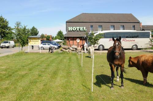 Hostal Hotel Zur Wolfsschlucht - Das Wolfshotel Am Arendsee