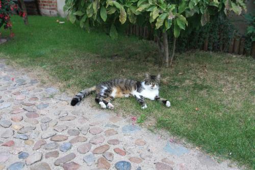 Hostal Pension D�rkop