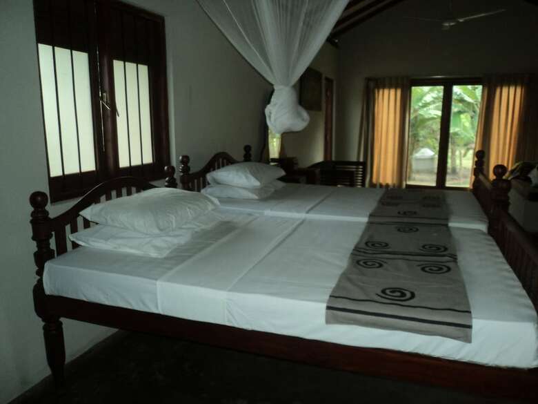 Hotel Wild Escape