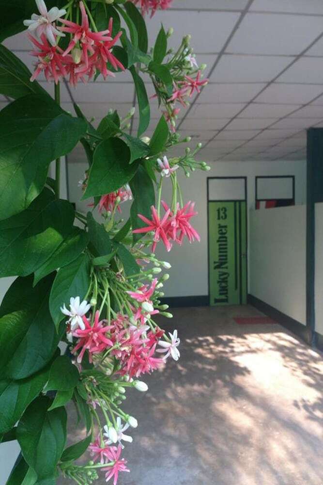 Hotel Toto Beach Resort