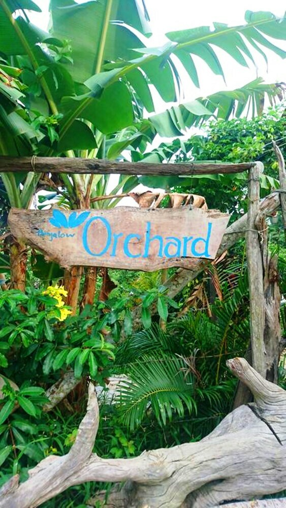 Hotel Orchard Fruit Farm Bungalow