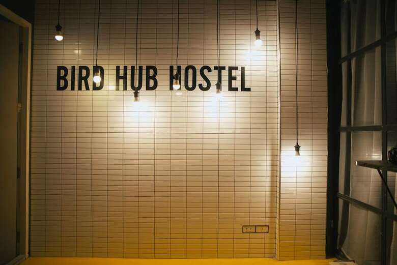 Hostal The Bird Hub Hostel