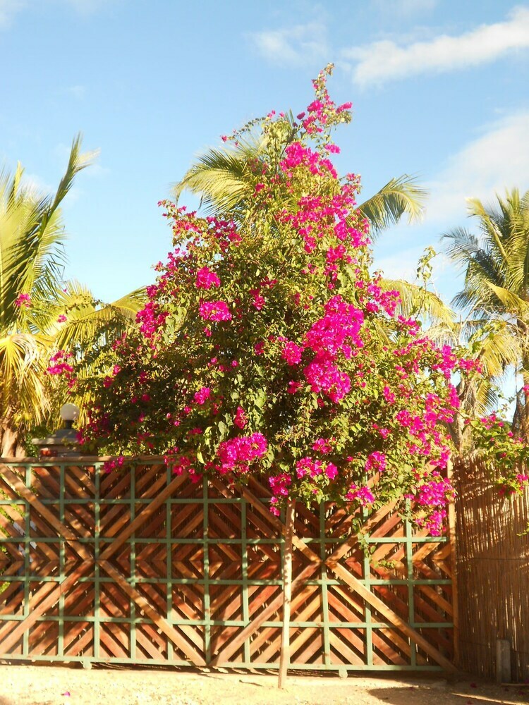 Hotel Casa Jules