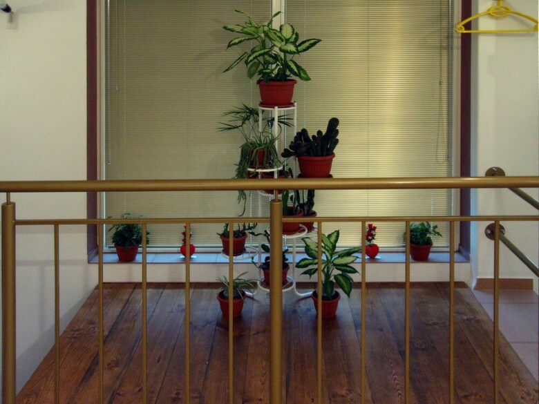 Art Apartments Milchevi