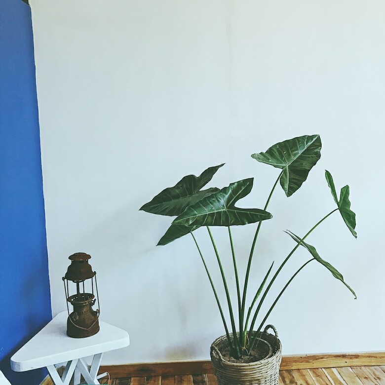 Hotel The Fish Phu Quoc